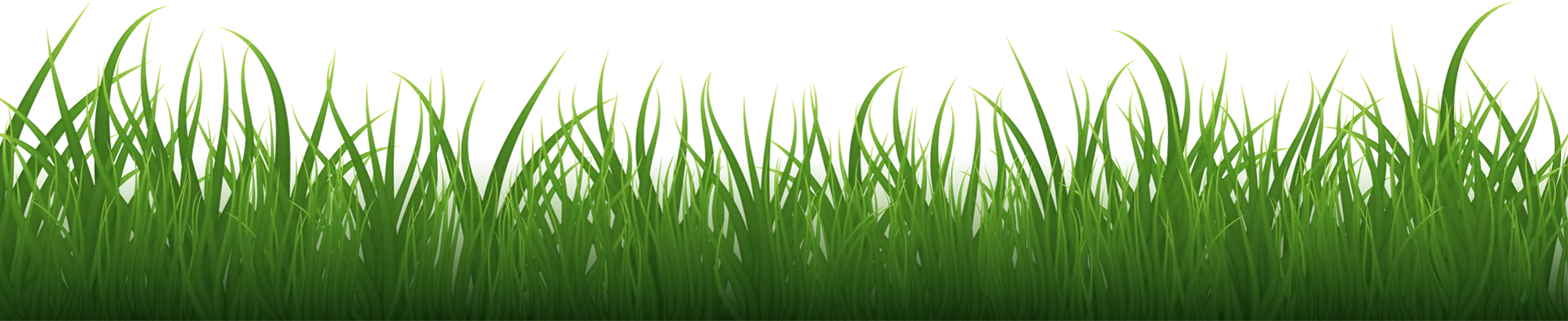 grass