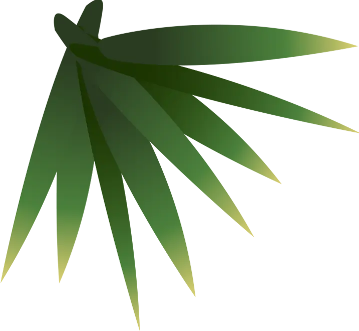 leaf