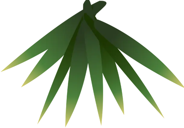 leaf