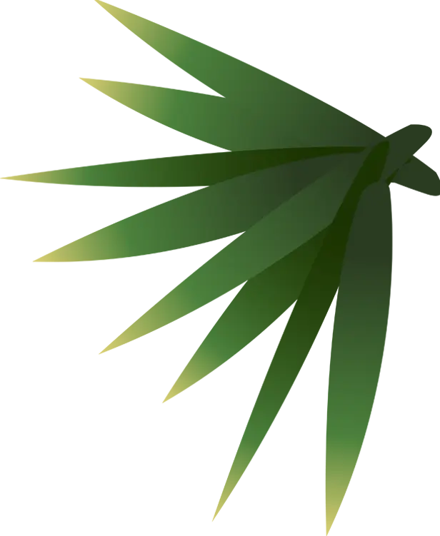 leaf