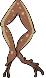 legs